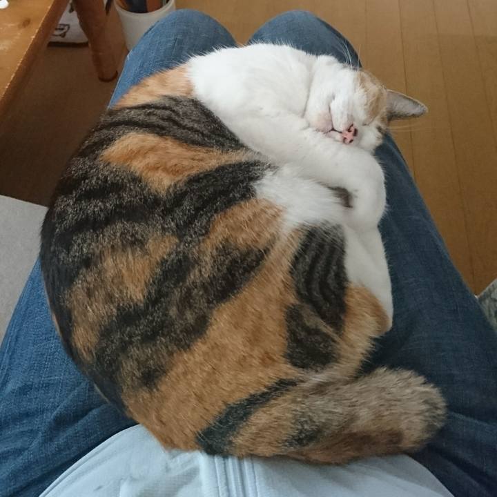 341b0a26 84ba 4103 a1e7 9d2b329a23a5 1534467098460