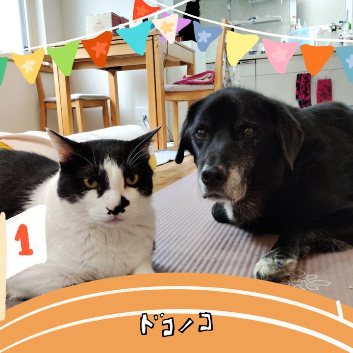 341b3631 4f97 4ac8 b269 87a62187cbf2 1761706049236