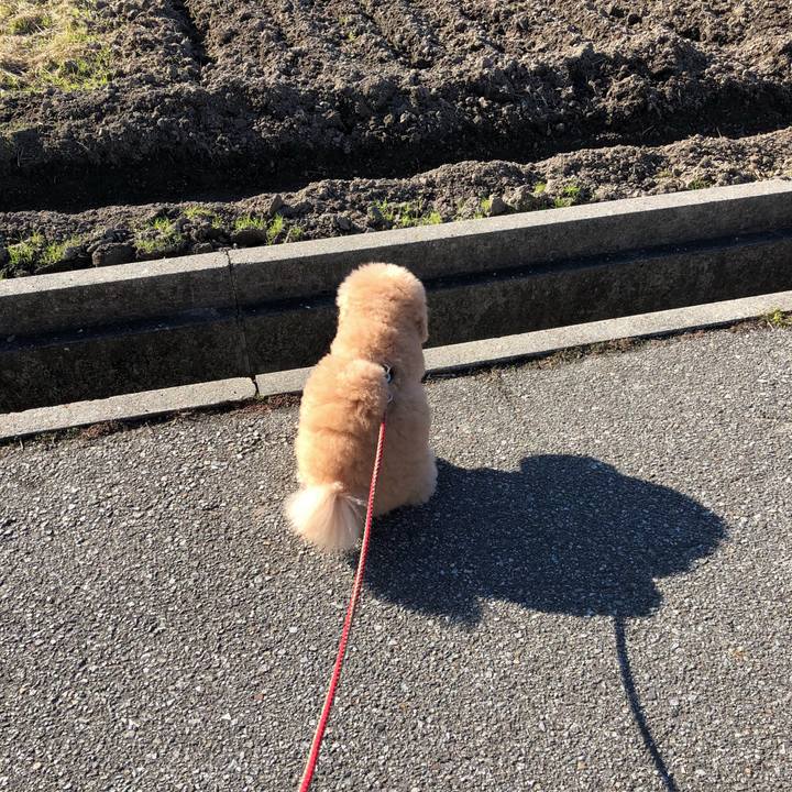 341b580e bbfe 454b b032 8f0ef29fb5b8 1513491267376