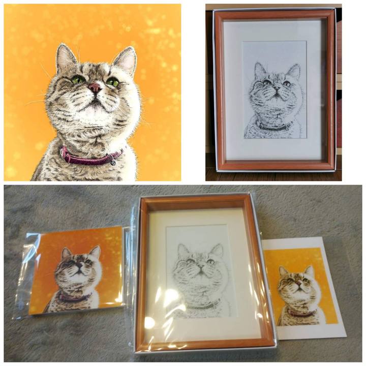 341b67fd ac37 40ed b14b 2f87d0534e8f 1652858688339