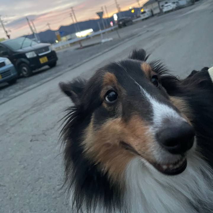 341b8bea 206d 433f bae7 819bc743b08c 1608760280932