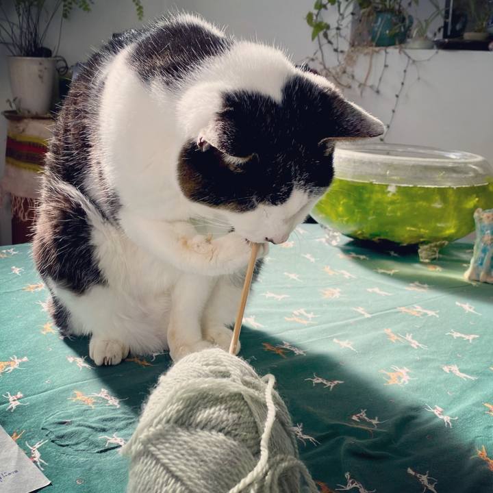 341b9a20 d149 4978 aaa1 56b8036c7afb 1638243071888