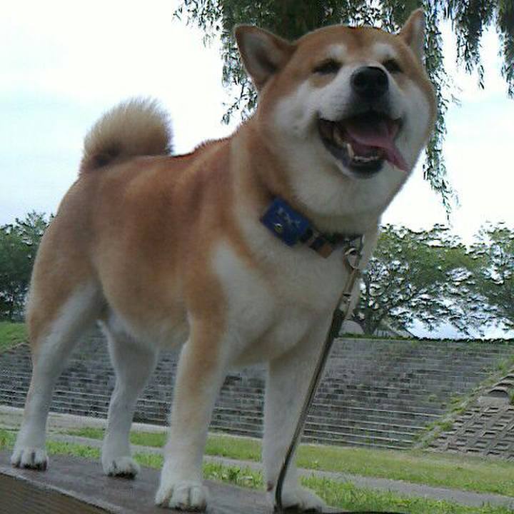 341bcbf6 12b2 4ba2 99ce 9f8b2a7a2a02 1563017033394