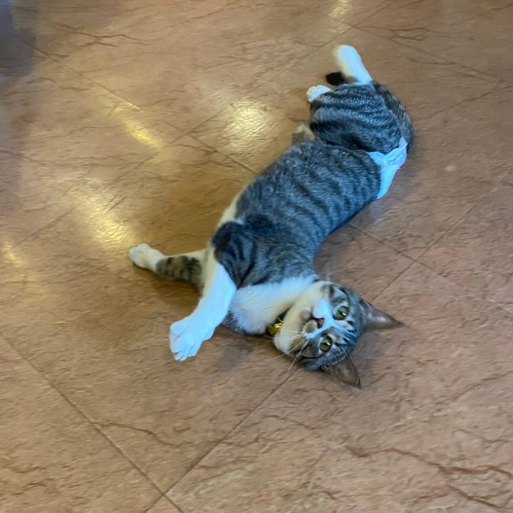 341be36d 0cde 4243 b42a 85226fb607de 1648113622300