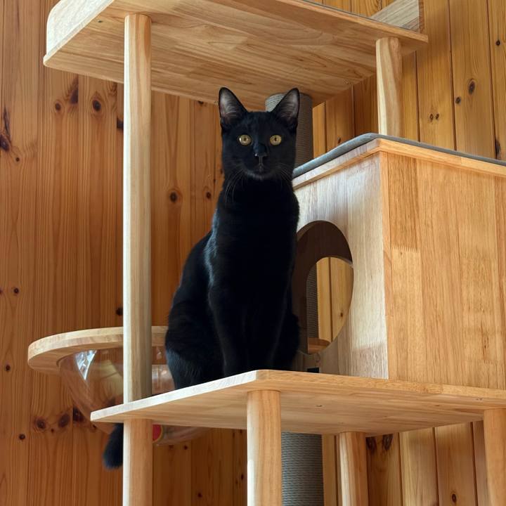 341bec41 dba1 4902 83d1 bedc1838ffb6 1763250387391