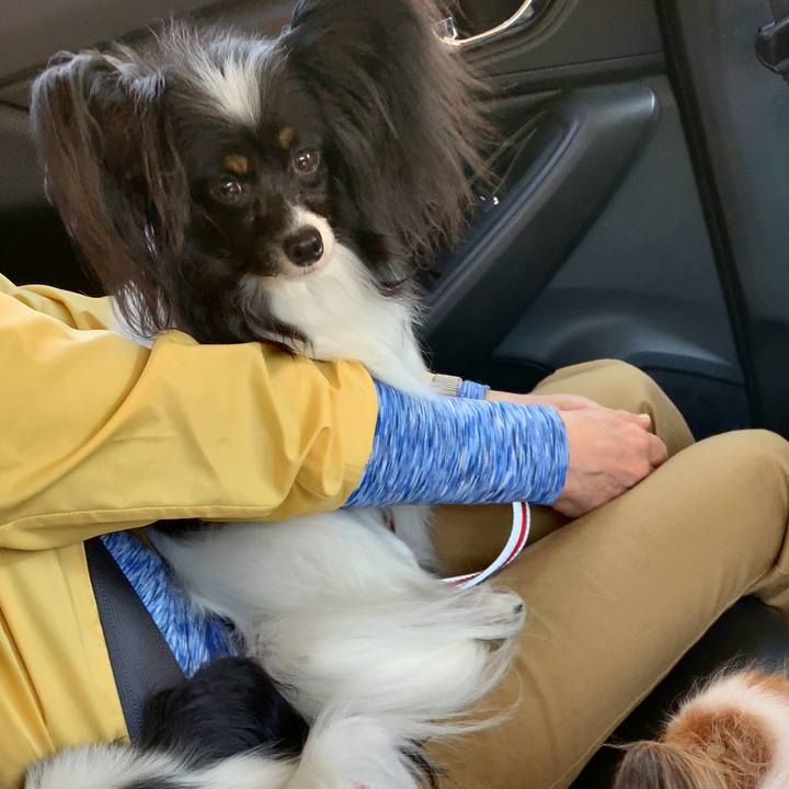 341c2a0e 2156 4d77 885a 5ecaca66ed50 1557129677876