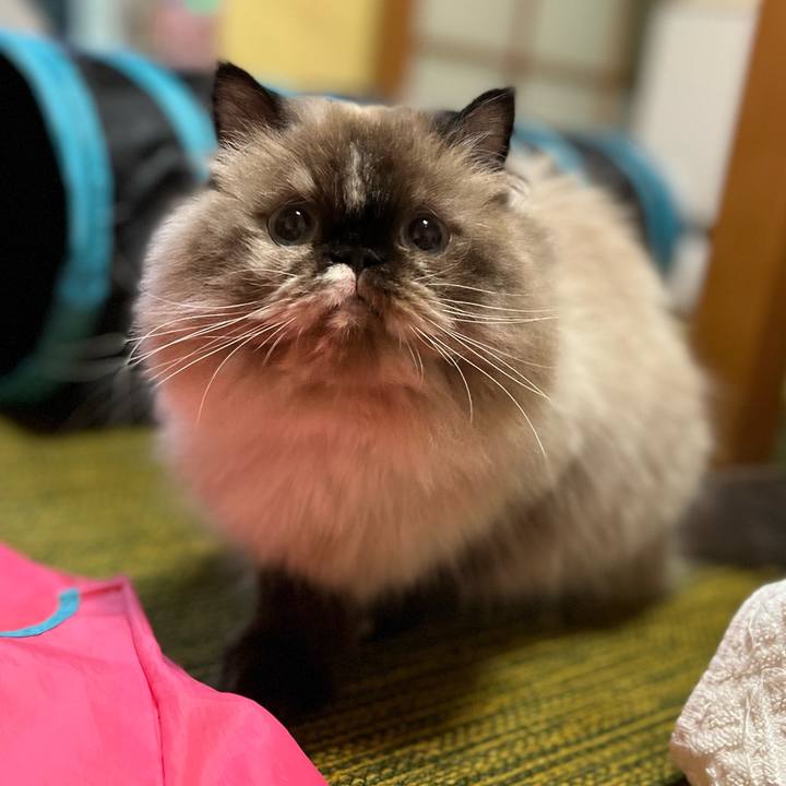 341c3476 b9d3 4c6c abc3 fd2868d813bc 1664941561016