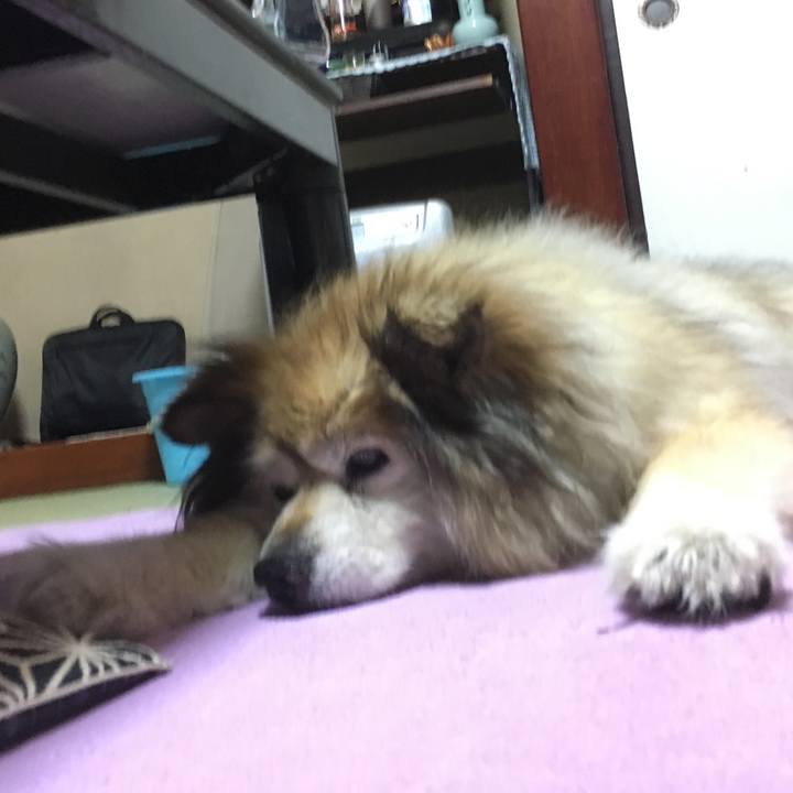 341c8c06 d9fe 4959 8827 a7df2774520f 1563274143234