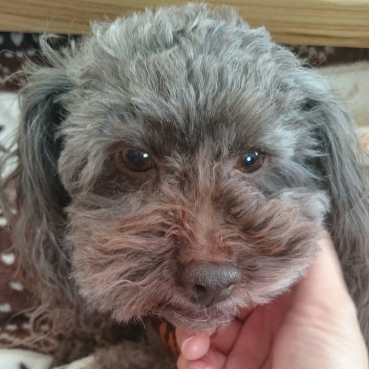 341caed3 fafd 48f7 ace3 bad7533aa4a5 1515983642041