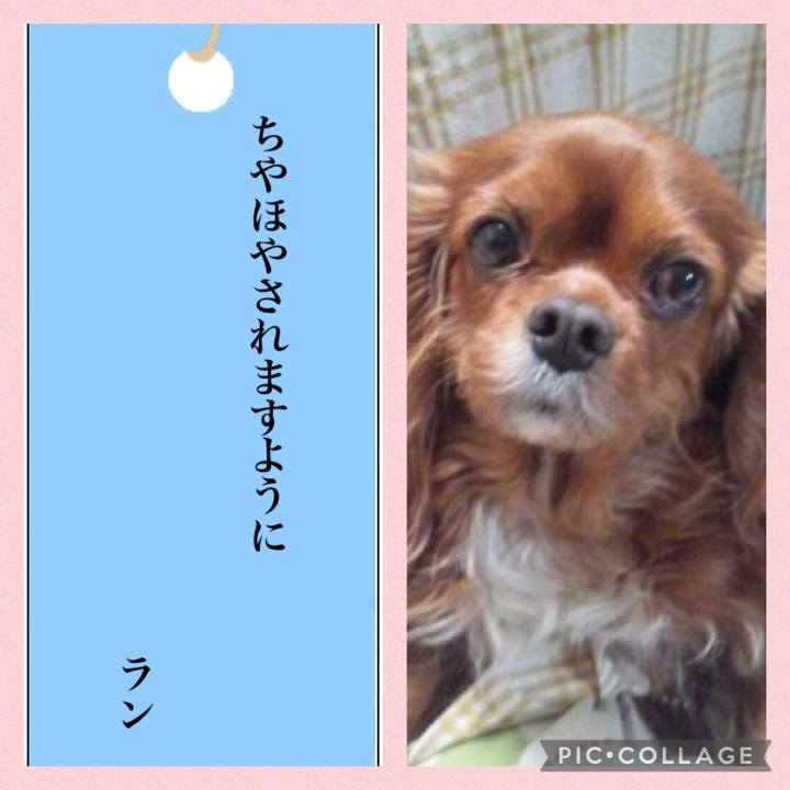 341cf001 fa20 4e8a 84bf 6ddb77291cdc 1625665613213