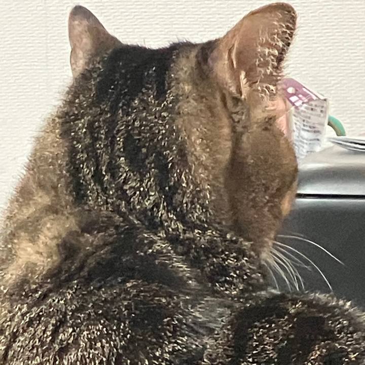 341d6d99 1287 44a9 9fa3 8257a79492f3 1764288612827