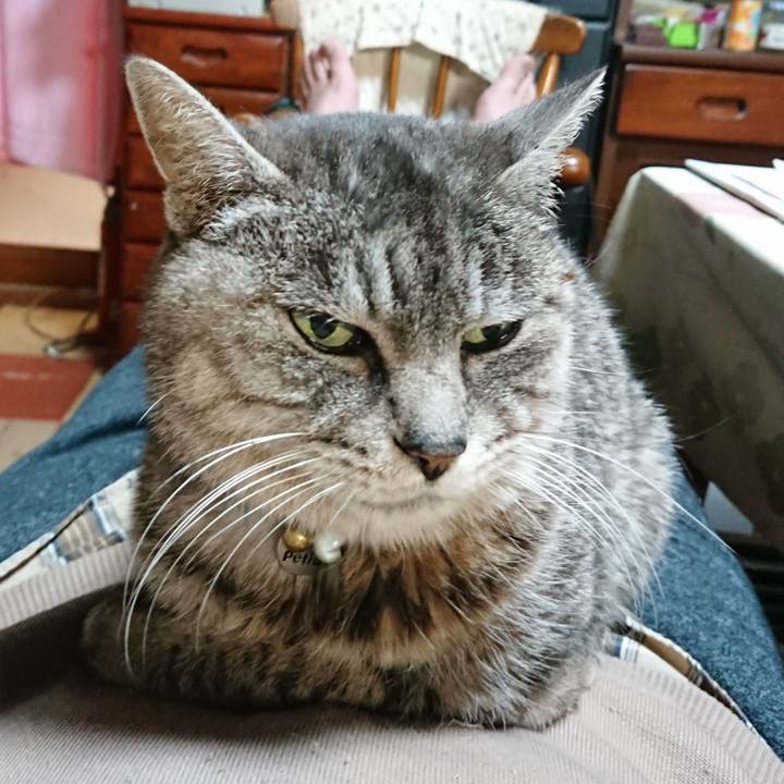 341da7cc b72e 49fa 9144 9995af3558c6 1576578782636