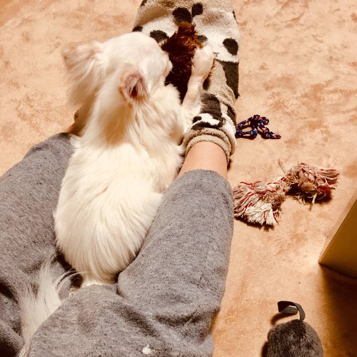 341db2dd d604 499c b6c6 45249f650c2d 1520621543349