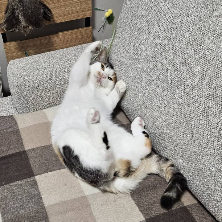 341dbb89 95a6 44ac 9dcc 1918849da858 1767523748593