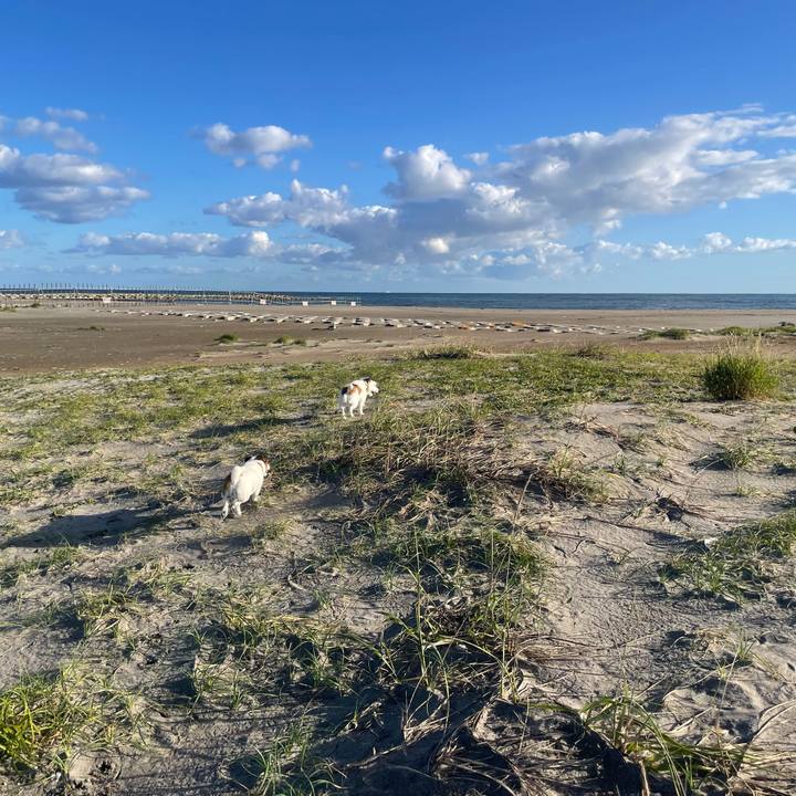 341dd3dc d0a3 4067 93ec 4a9ba6e8b37f 1758238094760