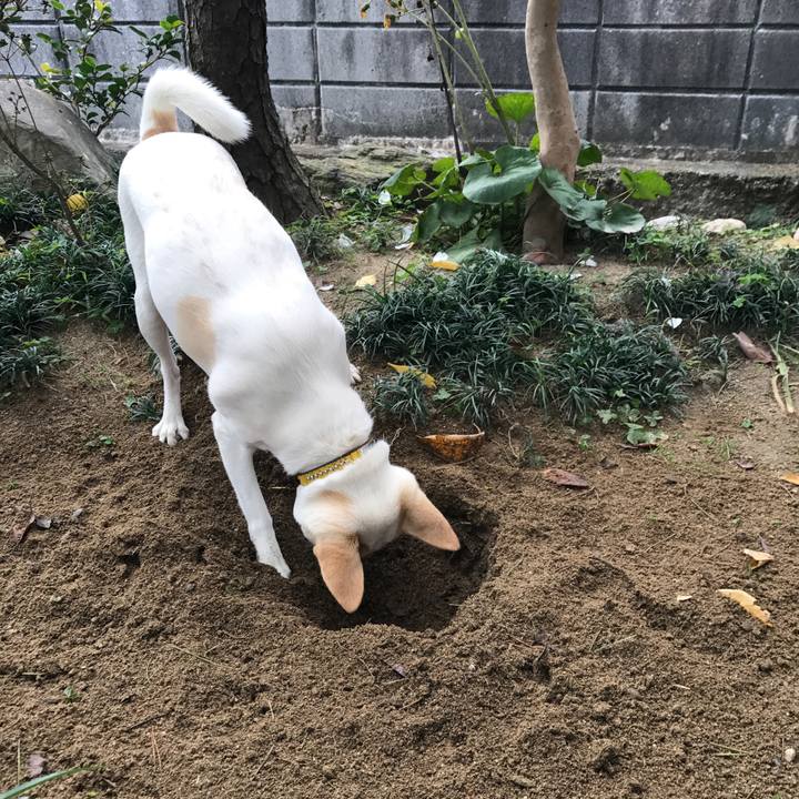 341e4e82 42cd 44ac 9c99 9d880ba78c5c 1511090581820