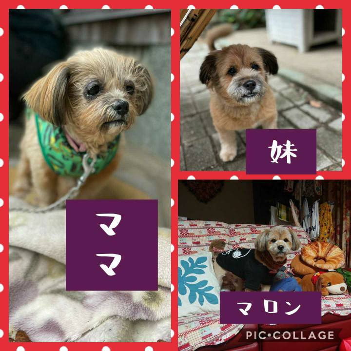 341e9ca6 5042 483d 851d 620b4160a66e 1609308566729