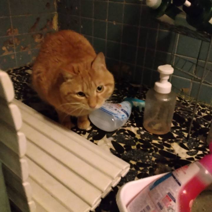 341ec07b 57df 4735 8597 c121cbe0a156 1675501615319