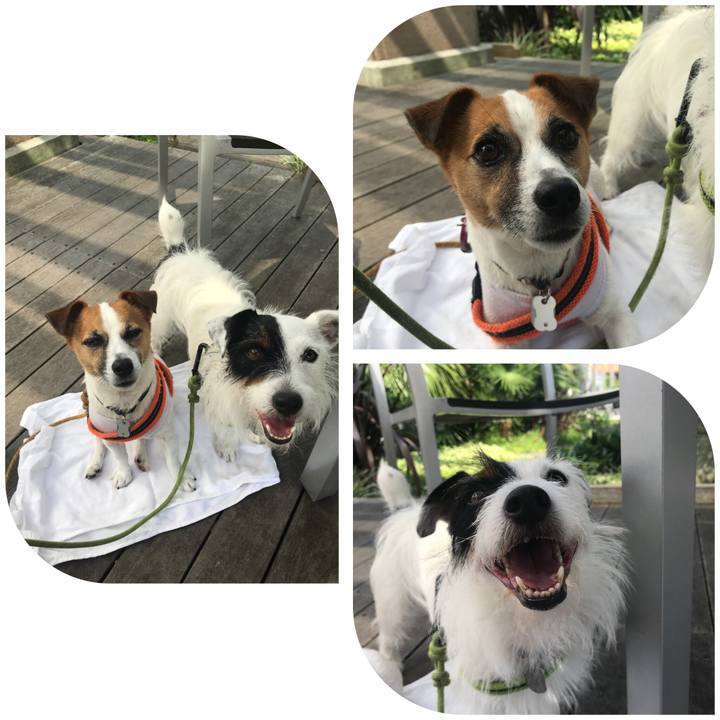 341efa46 5727 4877 8c93 7daf47dea770 1531614811098