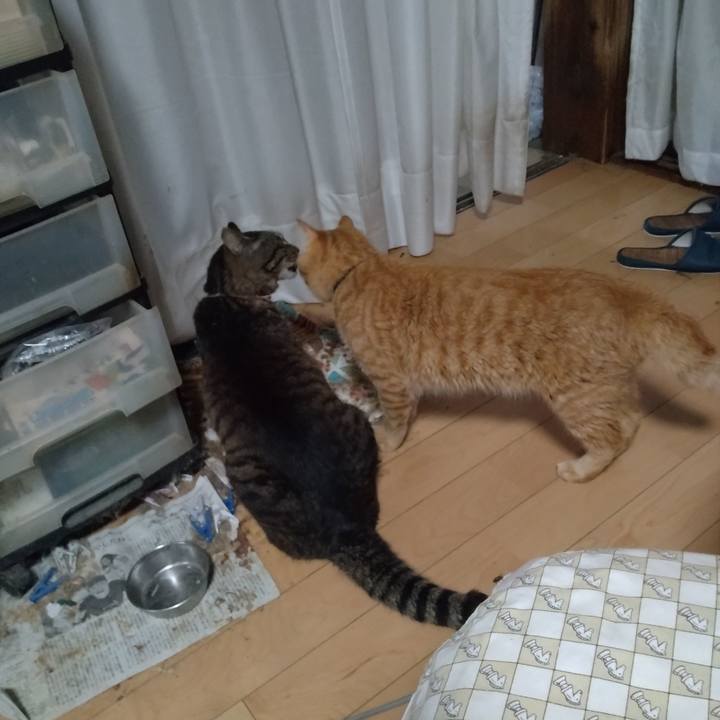 341f1b04 7105 4228 9525 49bf25535d37 1719267371135