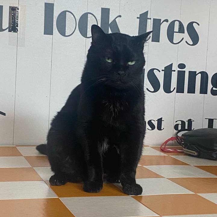 341f6739 c4c5 42ad 9621 7388caa72f7c 1717826956828