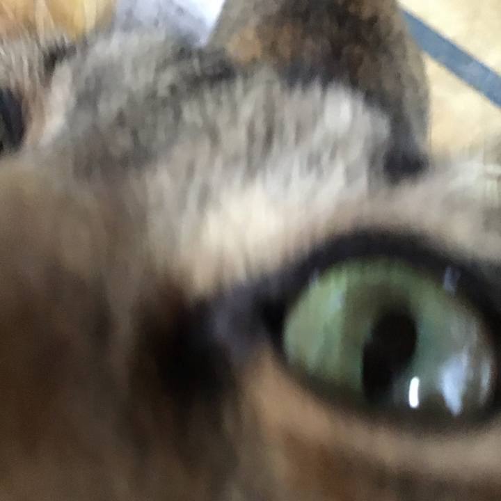 341f719f a953 4aec 83f3 82fbc2e0642a 1613544237815