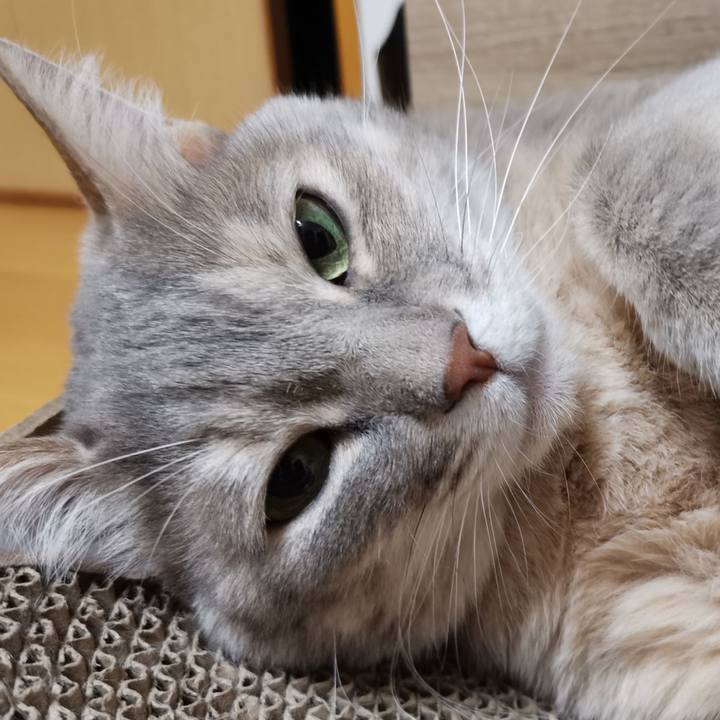 341f7f48 cd78 4f46 b9c9 69139ede95e7 1616386393893