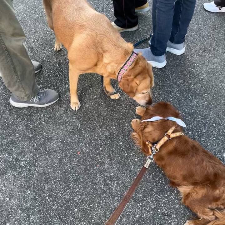 341f8b75 3d76 423a a839 03c86b53a1ea 1725148124072