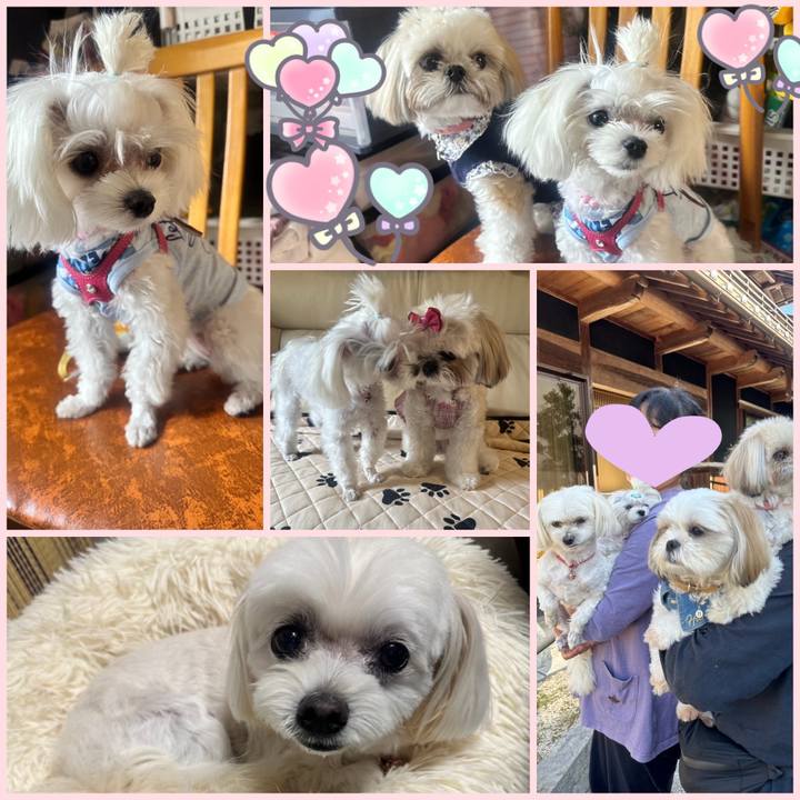 341f9f6d 5517 432d aae8 c143316cfe15 1728640153358