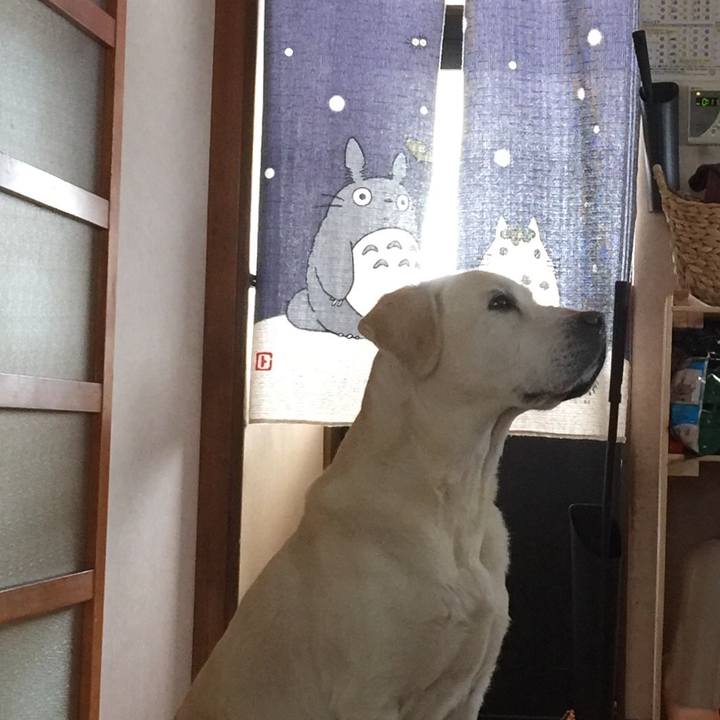 341fa921 c462 46ec 9106 c1cd6f7fda63 1519460572868