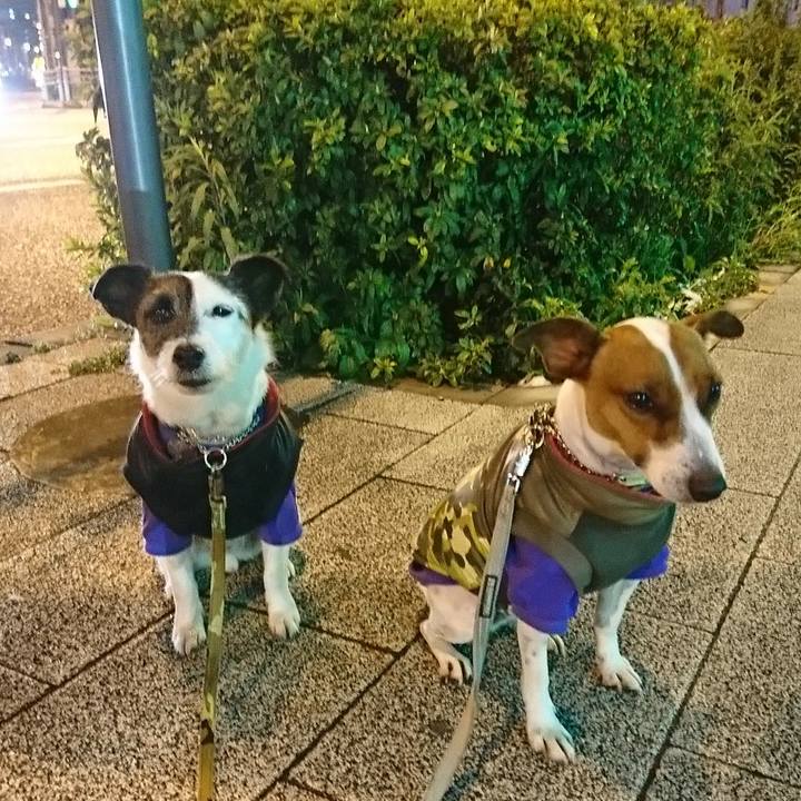 341fb4b2 8245 44d6 94e8 28ff2882db73 1585478863493