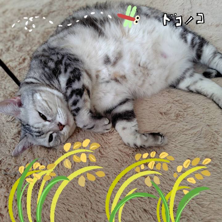 341fe1ea 950a 494b 99c5 ef3ba6422ee8 1762123564232