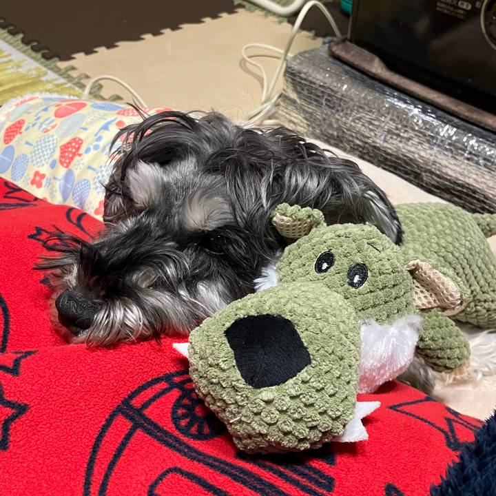 342012b2 9087 4135 ae5b d80f7fa935f8 1736001809019