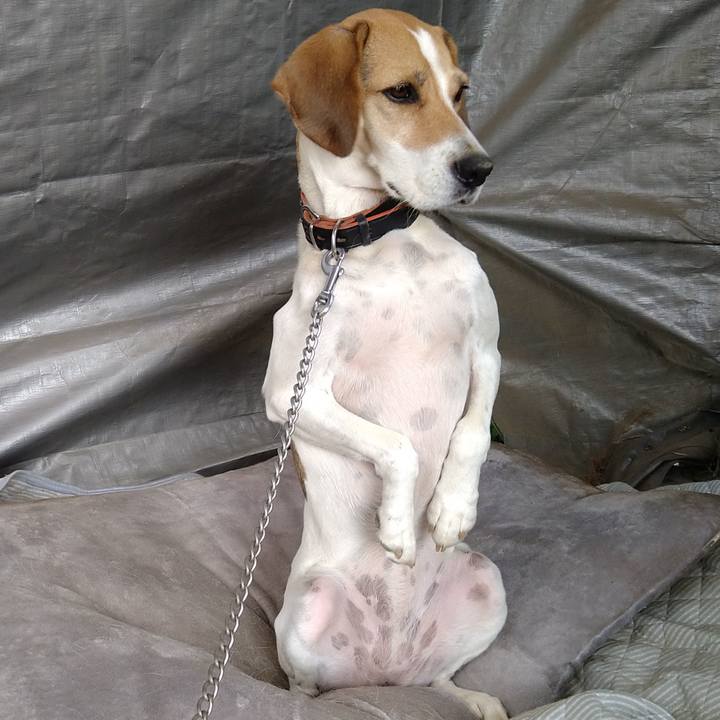 34201322 770a 4b12 b7b1 e3a377c255ba 1635606266747