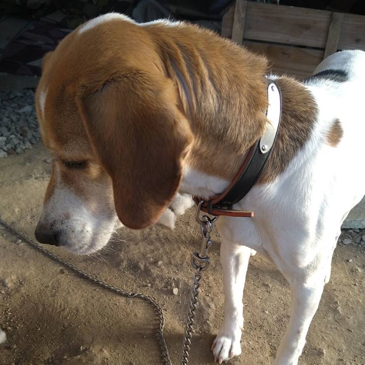 34203dc4 a803 4d94 afaf eb1df79dedd2 1643532940683