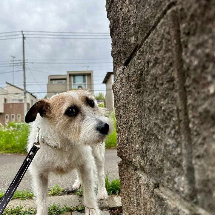 3420439b 59e6 4df3 8d58 9adf7fdc9f83 1748352028382