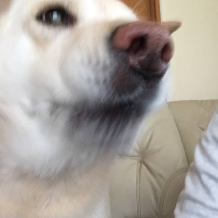 342050cc 0f80 433c b040 e59cb90229cf 1523961870702