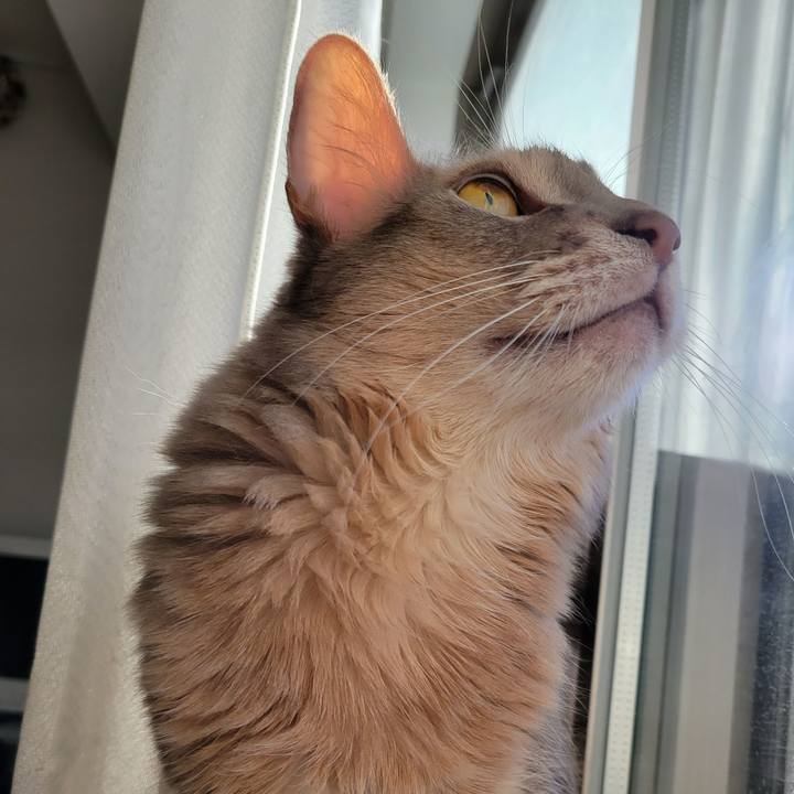 34207f93 5edc 446f 9c23 963a29e99dfd 1637973777913