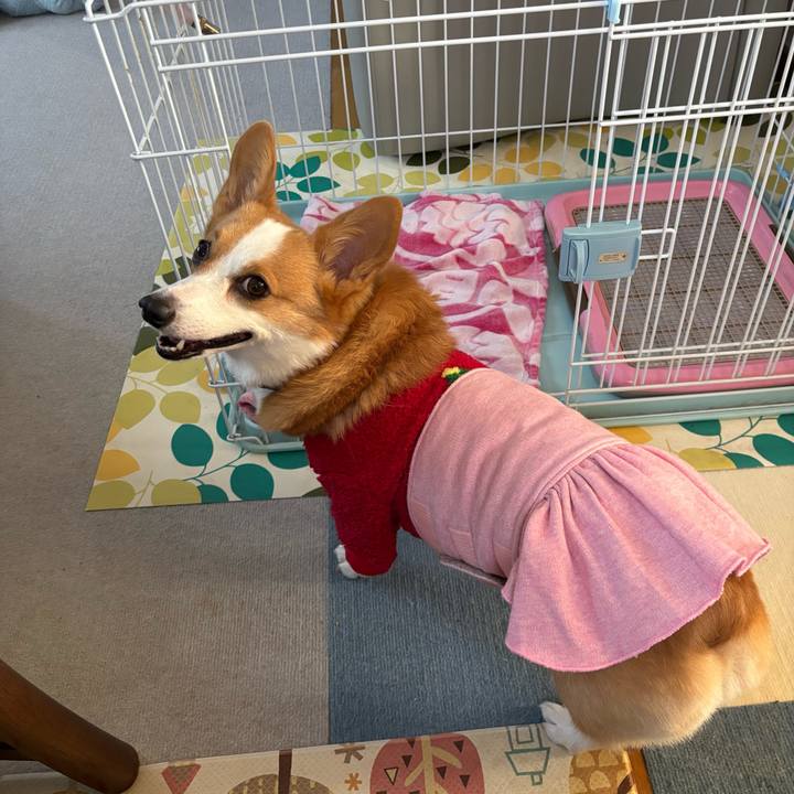 342089d0 161a 48f0 a19d 442009014817 1766016085612