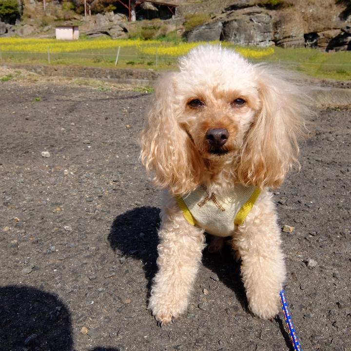 34209728 d194 4a46 9d96 e9e3ac743f30 1647148974327