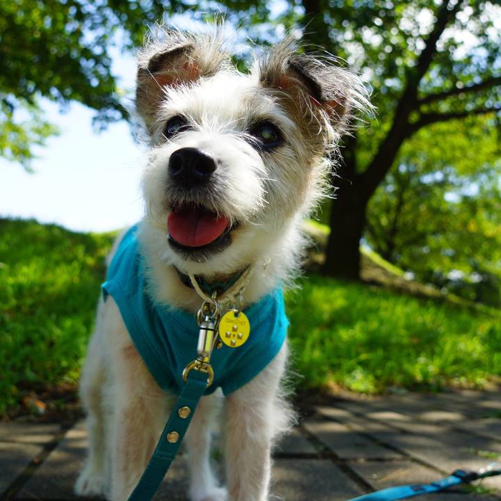 3420bc1e e136 4318 b79f 7e78889980f4 1651797573021