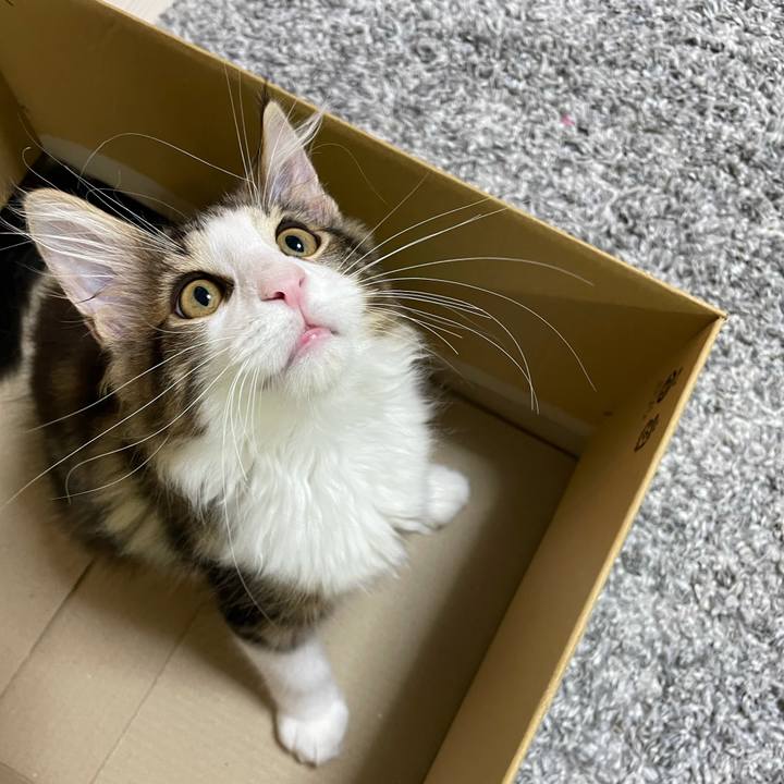 3420d683 c597 4a5b 9ffe aa4a2c670a3d 1633987522761