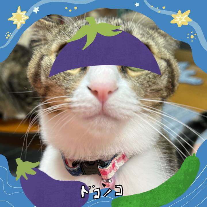 3420de3f e982 47e7 8e8a 0c73e17b5eda 1755517582292