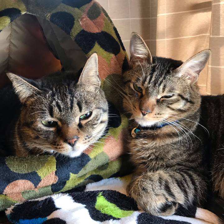 3420f567 1a8b 4cb5 995a 9b28a2e46405 1546349728974