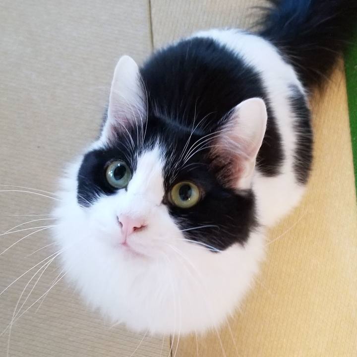 34210aca a8e3 4824 bc98 bc501955fc80 1552523765564