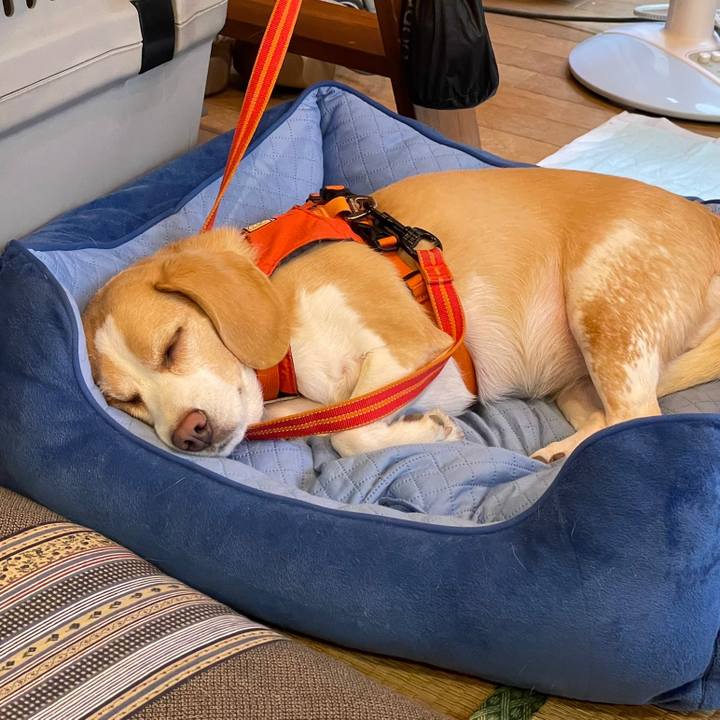 34211dd9 d8c5 430d 8f4f 69d7d3fea9bb 1660985107709