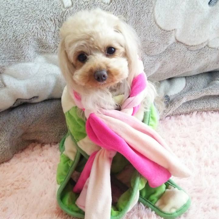 3421575c bd28 409d 85aa 7ccb98dfbb88 1522929989739