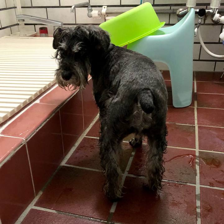 34218d71 47be 401e 9350 6aaa33c4296a 1683464357283