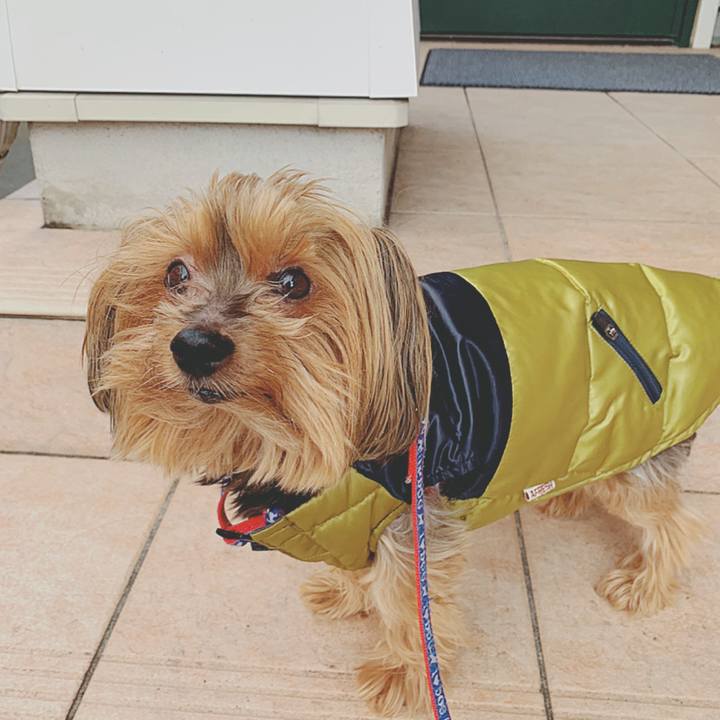 34227a74 fddf 4235 b8a2 493bbe2634f1 1602974354081