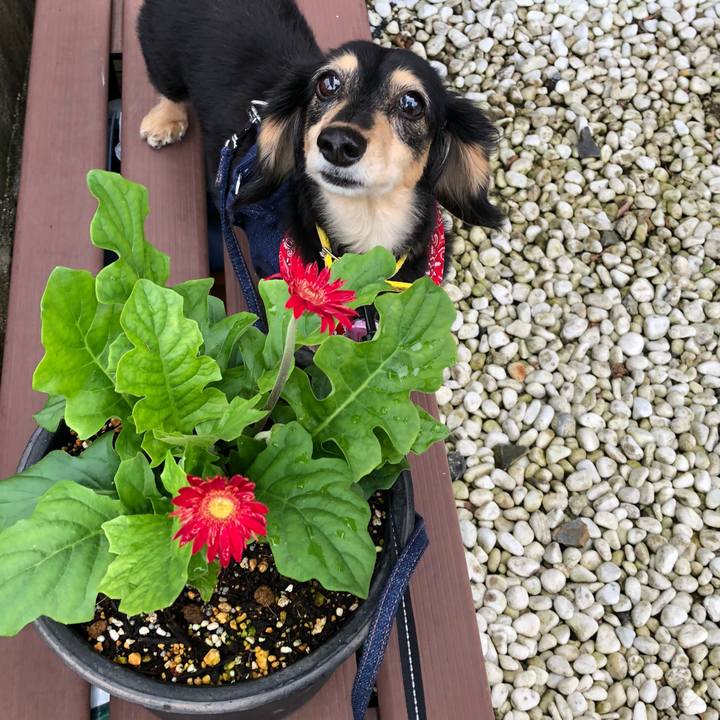 3422b8db 91b6 4d79 9f31 1303d9ddec3f 1593561828082